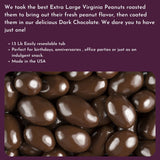 Chocolate Covered Peanuts - 1.25 Lb Tub (Dark Chocolate)