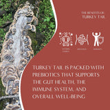 Teeccino Turkey Tail Astragalus - Toasted Maple - Caffeine Free Mushroom Adaptogenic Herbal Tea, 3x More Herbs than Regular Tea Bags, Lightly Sweet