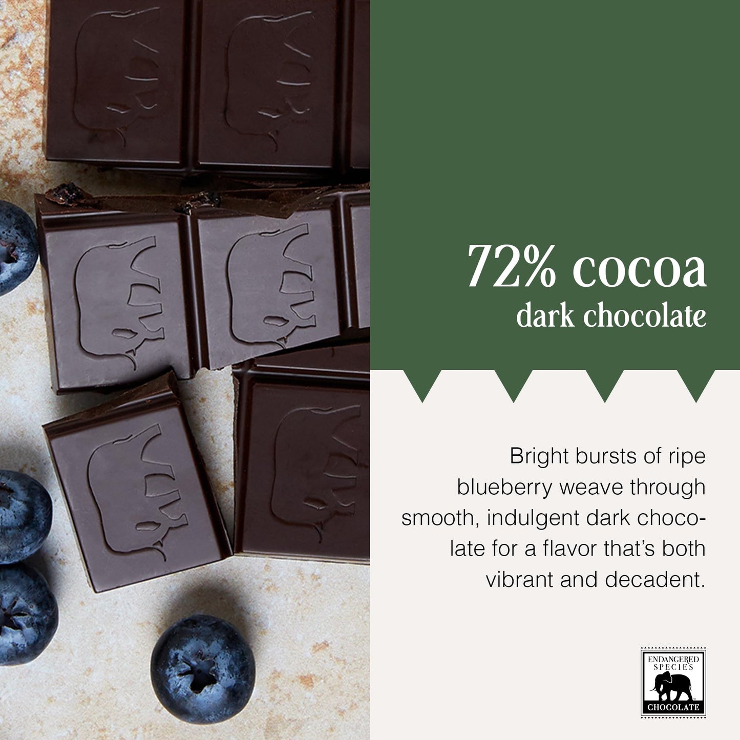 Endangered Species Dark Chocolate Bar with Blueberries (72% cocoa)