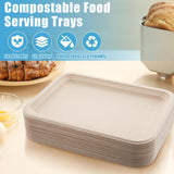 CACASO 50 Pack 14 inch Large Paper Plates, Disposable Food Trays, Heavy Duty Large Paper Plates, Compostable Sugarcane Platters, Disposable Serving