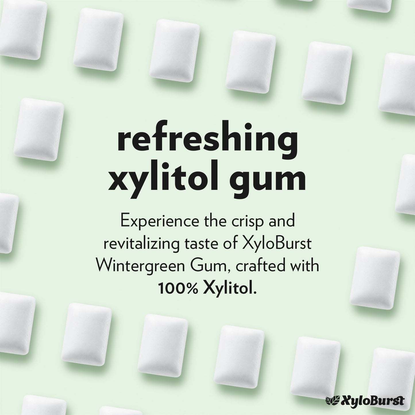 XyloBurst Gum | Xylitol Chewing Gum | Sugar Free, Gluten Free, Keto Friendly | Aspartame Free Gum For Oral Health | Winter Green | 24 Pieces (Pack