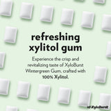 XyloBurst Gum | Xylitol Chewing Gum | Sugar Free, Gluten Free, Keto Friendly | Aspartame Free Gum For Oral Health | Winter Green | 24 Pieces (Pack