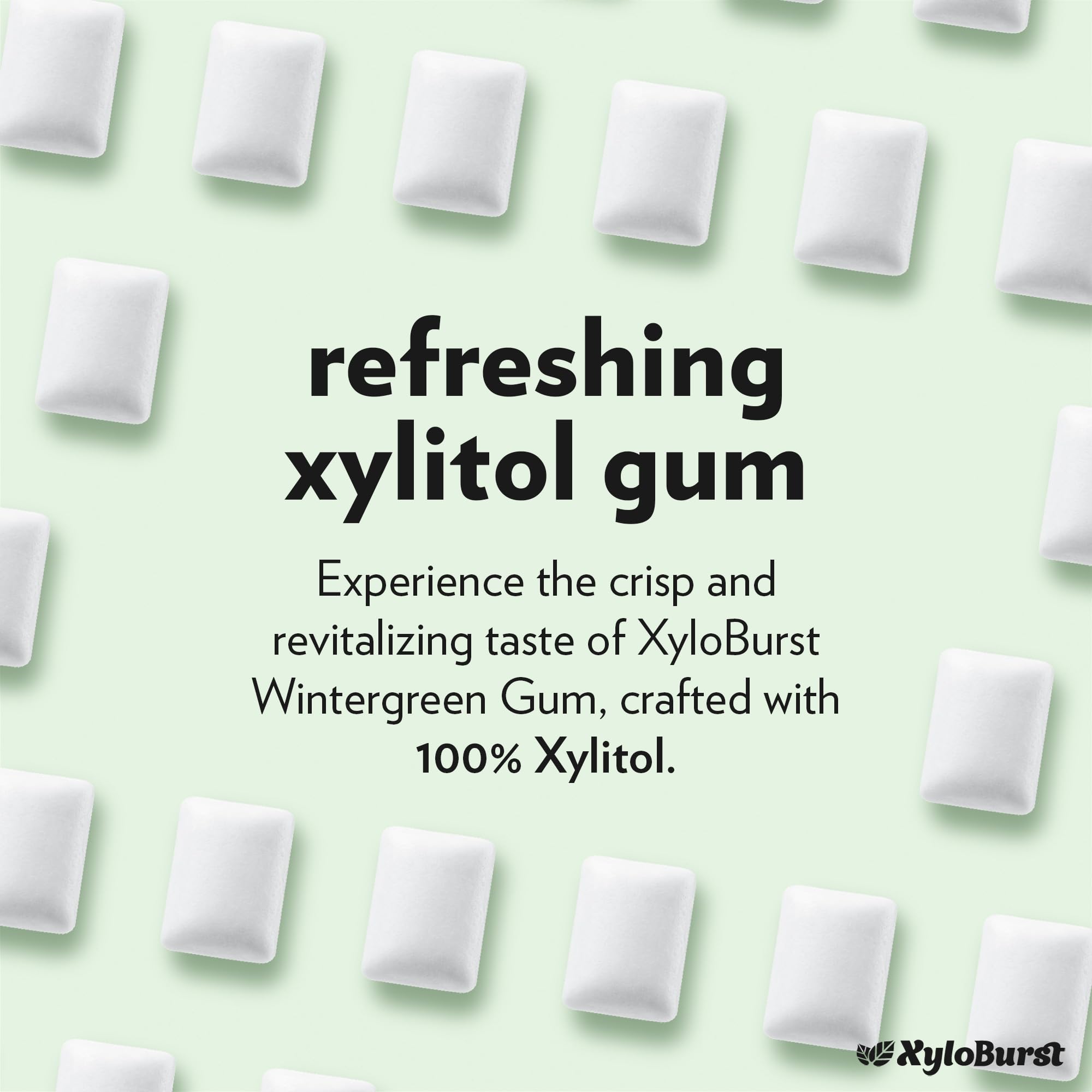 XyloBurst Gum | Xylitol Chewing Gum | Sugar Free, Gluten Free, Keto Friendly | Aspartame Free Gum For Oral Health | Winter Green | 24 Pieces (Pack