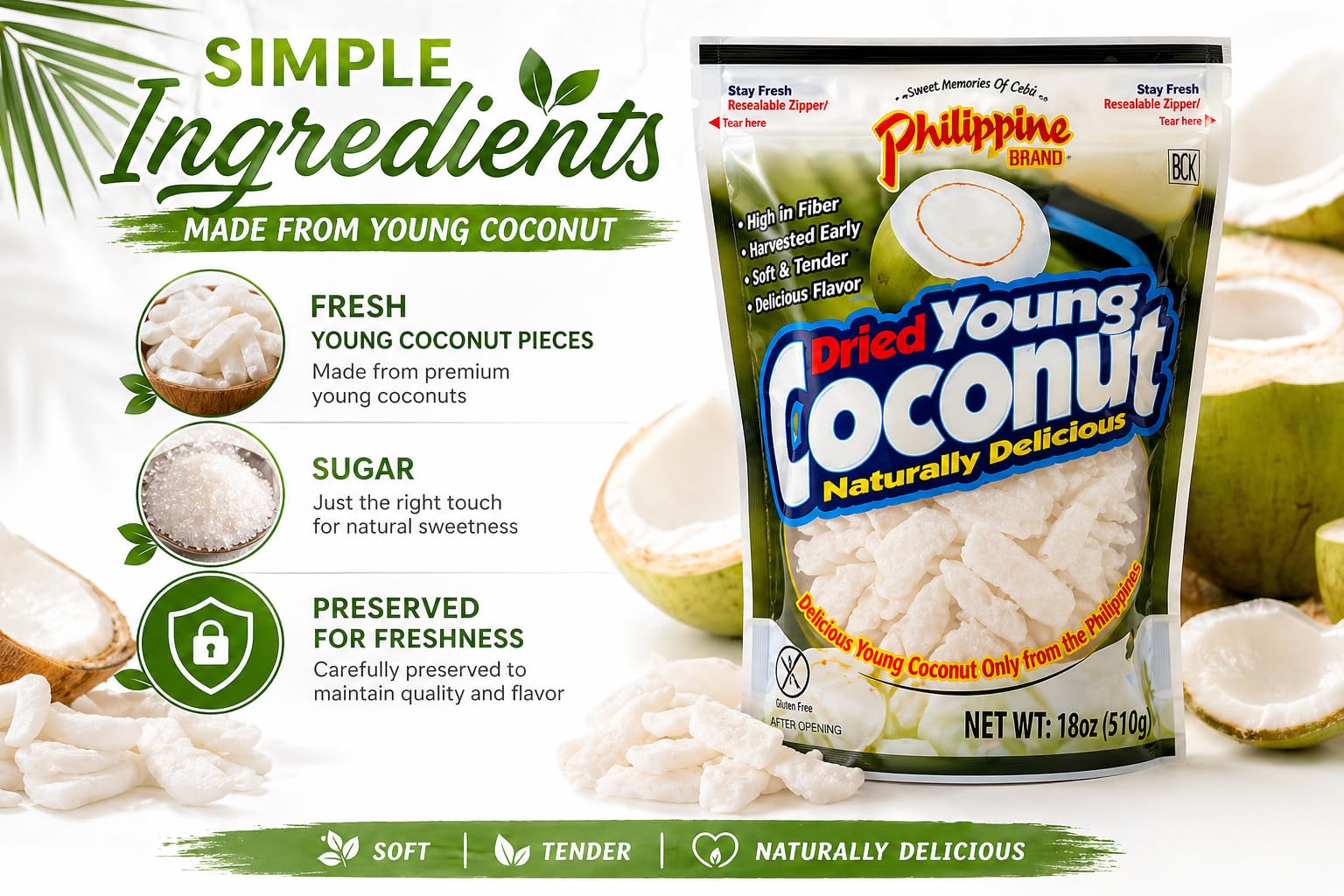Philippine Brand Premium Dried Coconut Strips and Chunks - 2 Pack -18 oz Natural Young Coconut Meat Snacks from the Philippines - Healthy Filipino