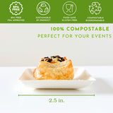50ct 2.5" Tiny Sugarcane Square Eco-Friendly Disposable Plates Mini Square Plates for Desserts and Appetizers, Sustainable Party Wedding Catering