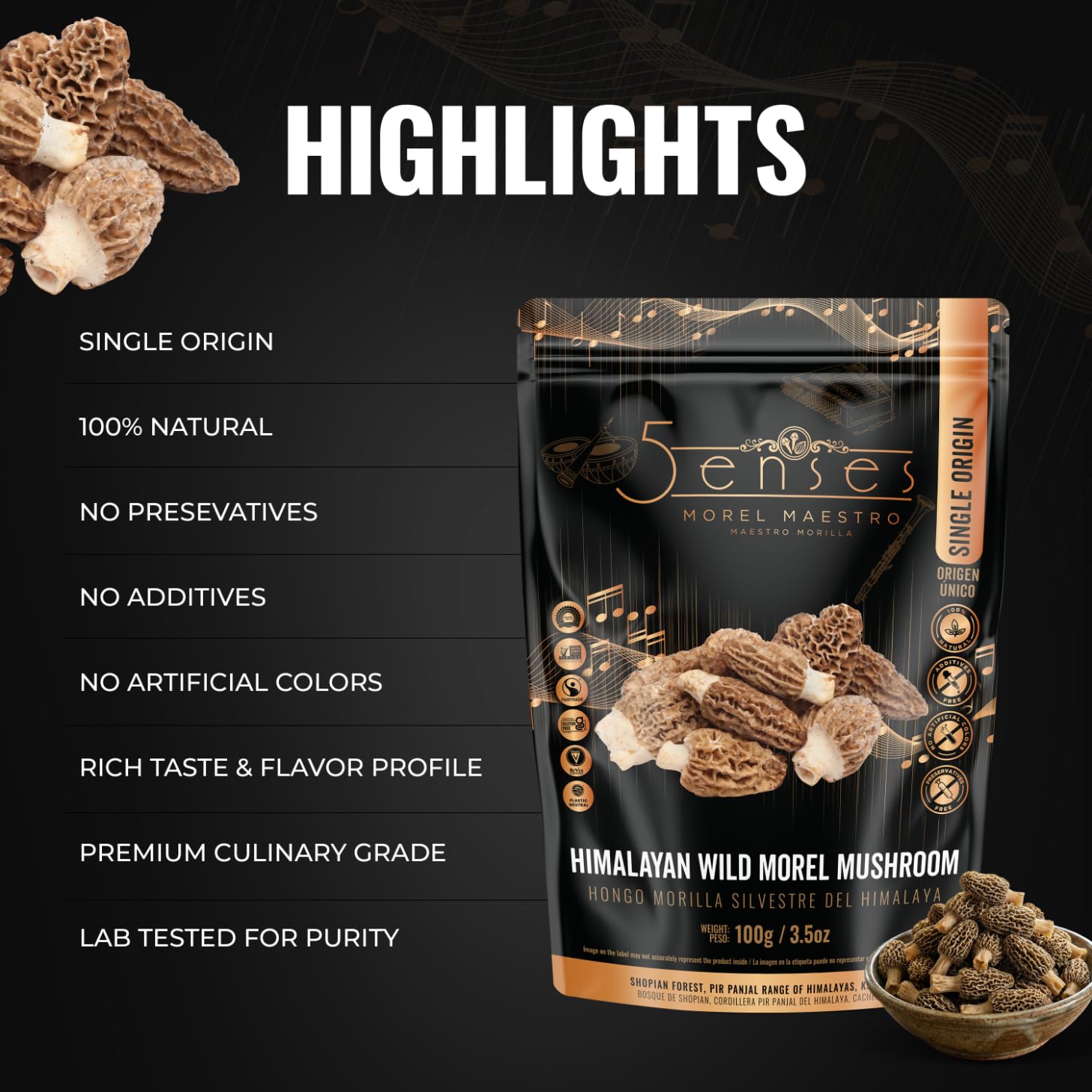 5Senses Himalayan Wild Morel Mushroom (Gucchi) | Hongo Morilla SILVESTRE DEL HIMALAYA | Morel Maestro | Premium Grade A Gucchi | Handpicked Dried