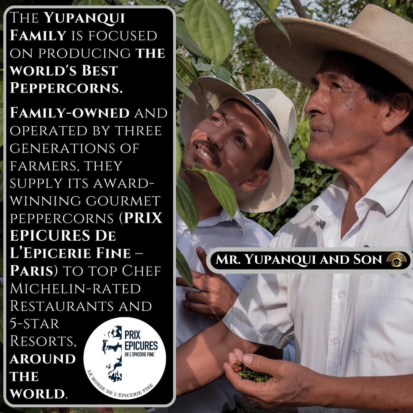 YUPANQUI OPUS H16 Ancestral Artisan Burgundy Organic Peppercorns Whole 8.8oz Rare Gourmet Peppercorn for Fine Dining Elevated Cooking Luxury Gifts