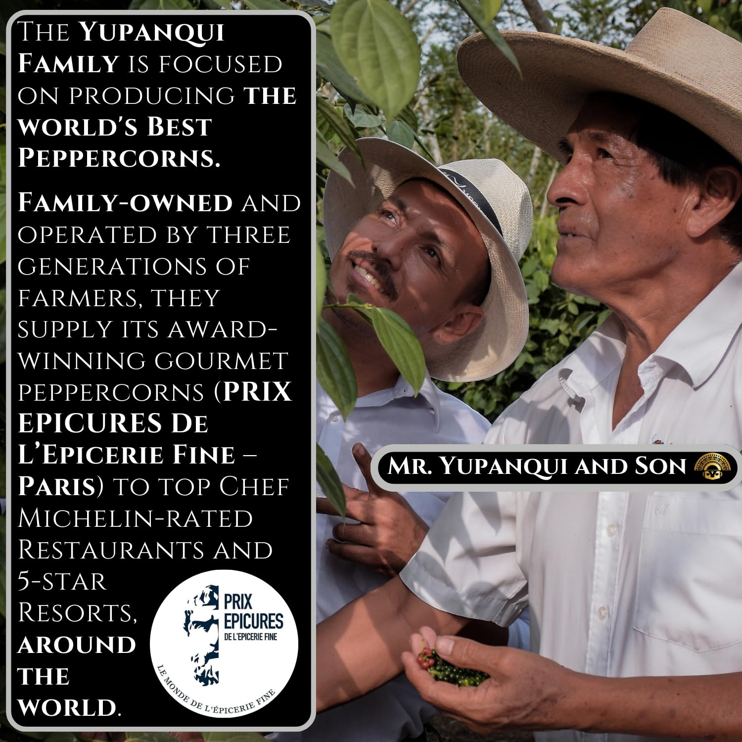 YUPANQUI OPUS H16 Ancestral Artisan Burgundy Organic Peppercorns Whole 8.8oz Rare Gourmet Peppercorn for Fine Dining Elevated Cooking Luxury Gifts