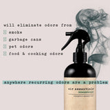 Air Essentials 12 oz Air Freshener & Odor Eliminator Spray - Neutralize Odors from Smoke, Pets, Food & Garbage in Homes, Offices & Cars - Made
