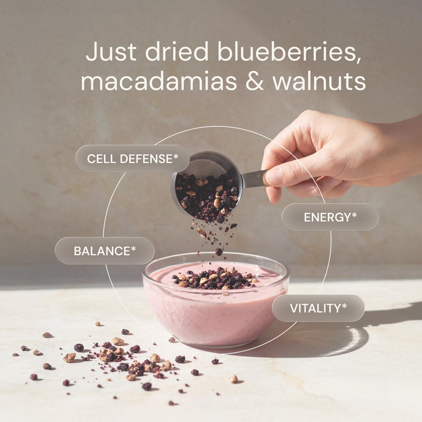 Blueprint Bryan Johnson Blueberry Nut Mix - Real Blueberries, Roasted Macadamia Nuts and Walnuts - No Additives or Added Sugars - Keto and Paleo