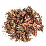 Hapsmiley Wild Prunella Spike Dried (xia ku cao/???), Self Heal (Prunella vulgaris L), Bulk (Cut and Sifted), Natural 100% Health Tea (2 Oz / 60g)