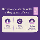 Jasberry - Organic Superfood Rice, Soft & Aromatic Whole Grain Purple Rice, High in Antioxidants, Non-GMO, Gluten-free, Easy to cook, Versatile USDA Certified Organic, Vegan, Sustainable, Regenerative Farming, Small-scale farmers 15oz (3 Pack)