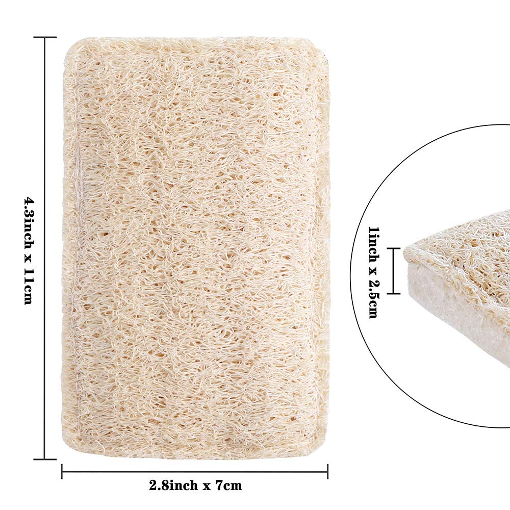 WANGDA.G Loofah Dish Sponges Kitchen,Organic Natural Sponges for Dishes,Non Scratch Eco Friendly Biodegradable for Cleaning,6PCS