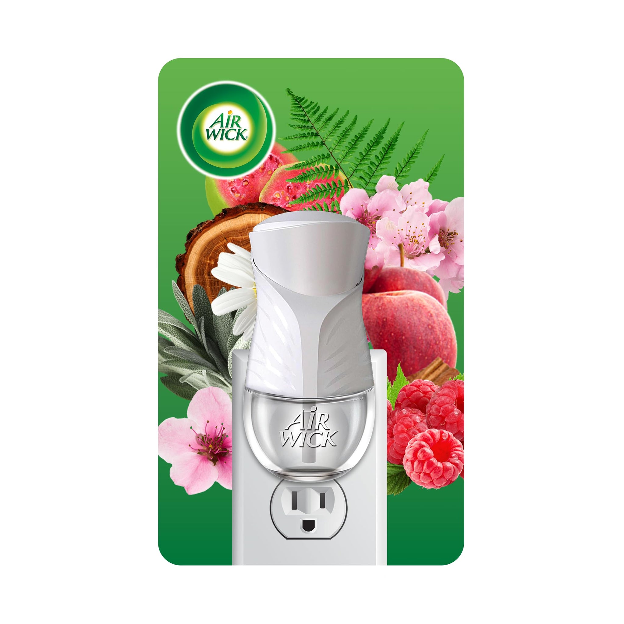 Air Wick plug in Scented Oil Warmer, White, 1 Count, Essential Oils, Air Freshener