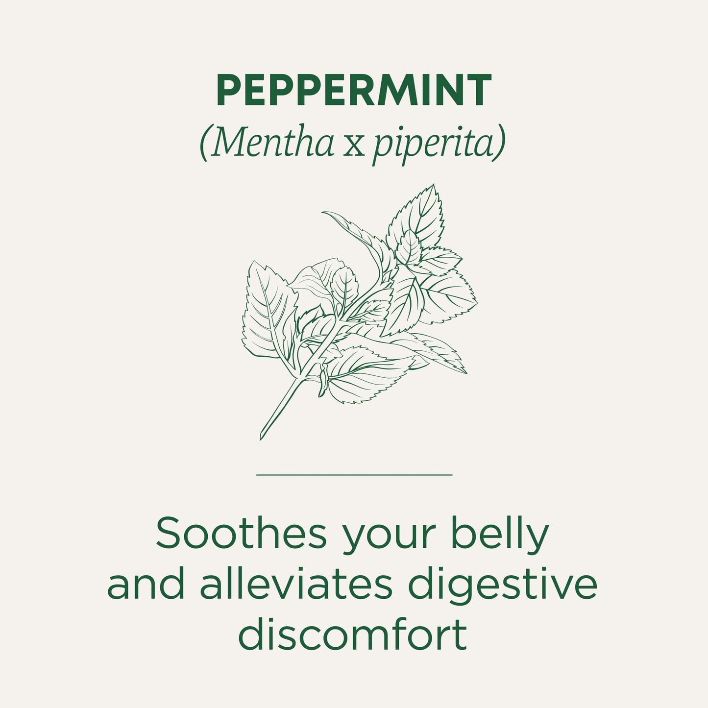 Traditional Medicinals Organic, Peppermint Tea - Helps Soothe Belly from Occasional Gas and Bloating - Kosher, Non-GMO, Caffeine-Free, Compostable