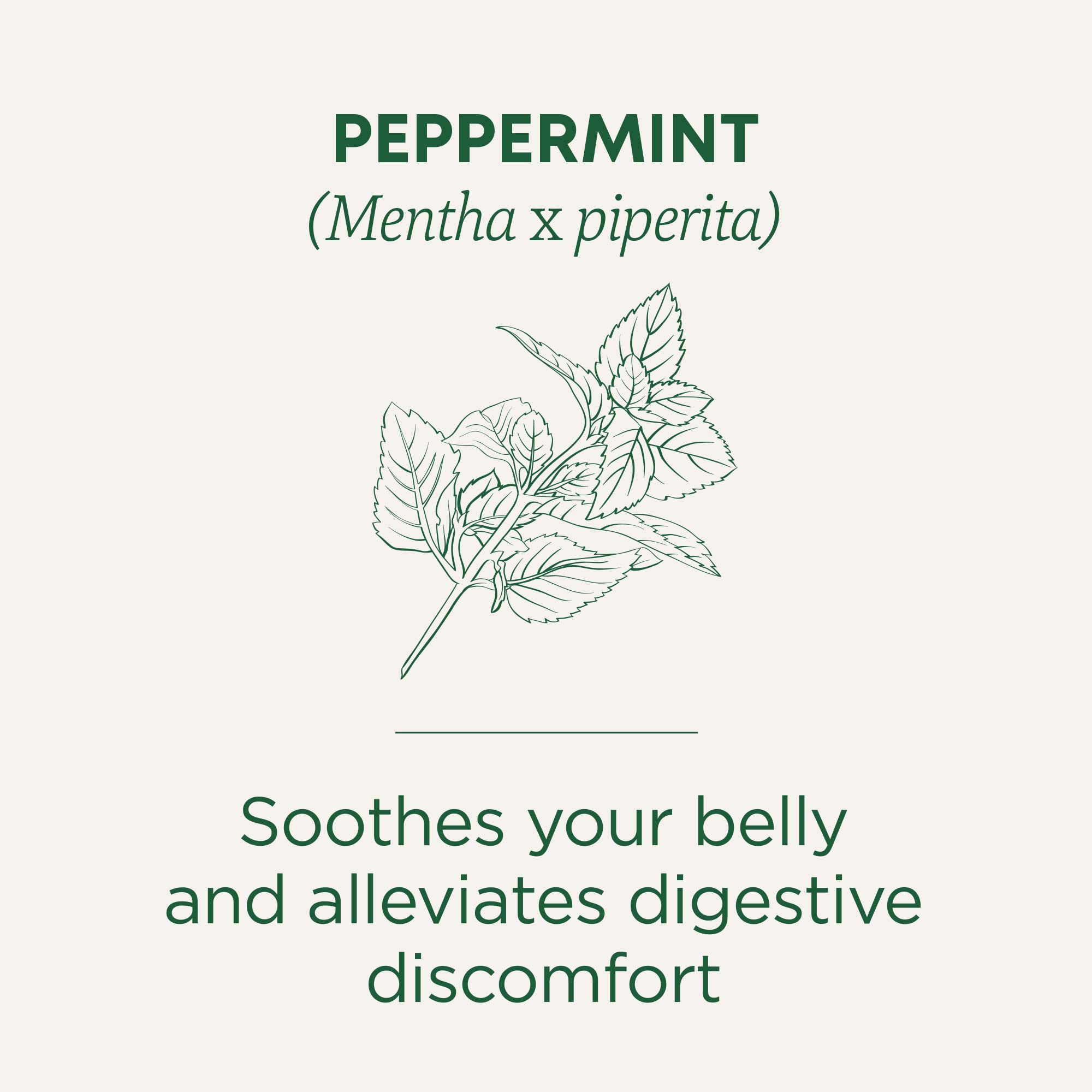 Traditional Medicinals Organic, Peppermint Tea - Helps Soothe Belly from Occasional Gas and Bloating - Kosher, Non-GMO, Caffeine-Free, Compostable