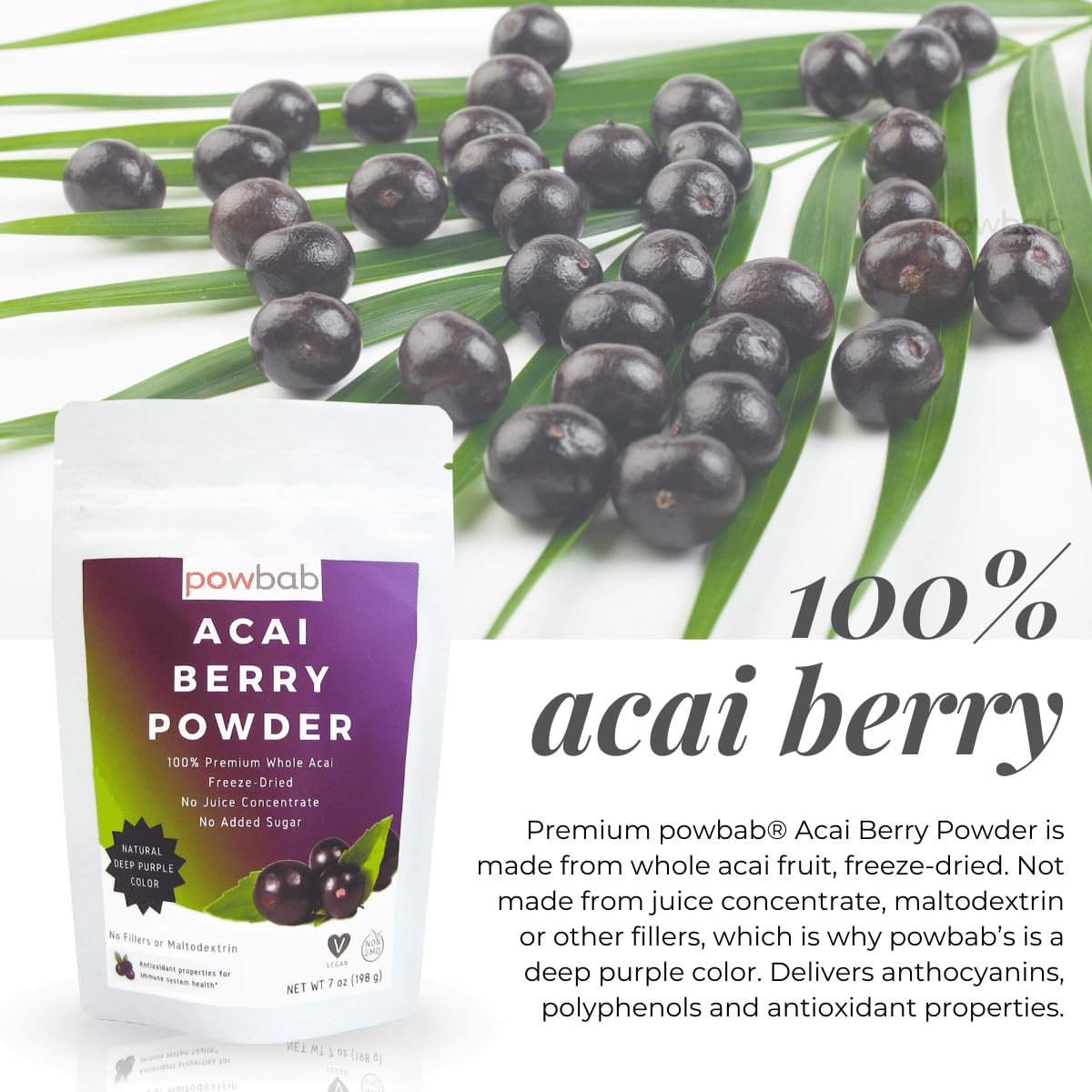 powbab Acai Berry Powder - 100% Organic Acai Powder. Freeze Dried, Unsweetened from Brazil. Pure Superfood. Rich in Antioxidants, Perfect for Fruit