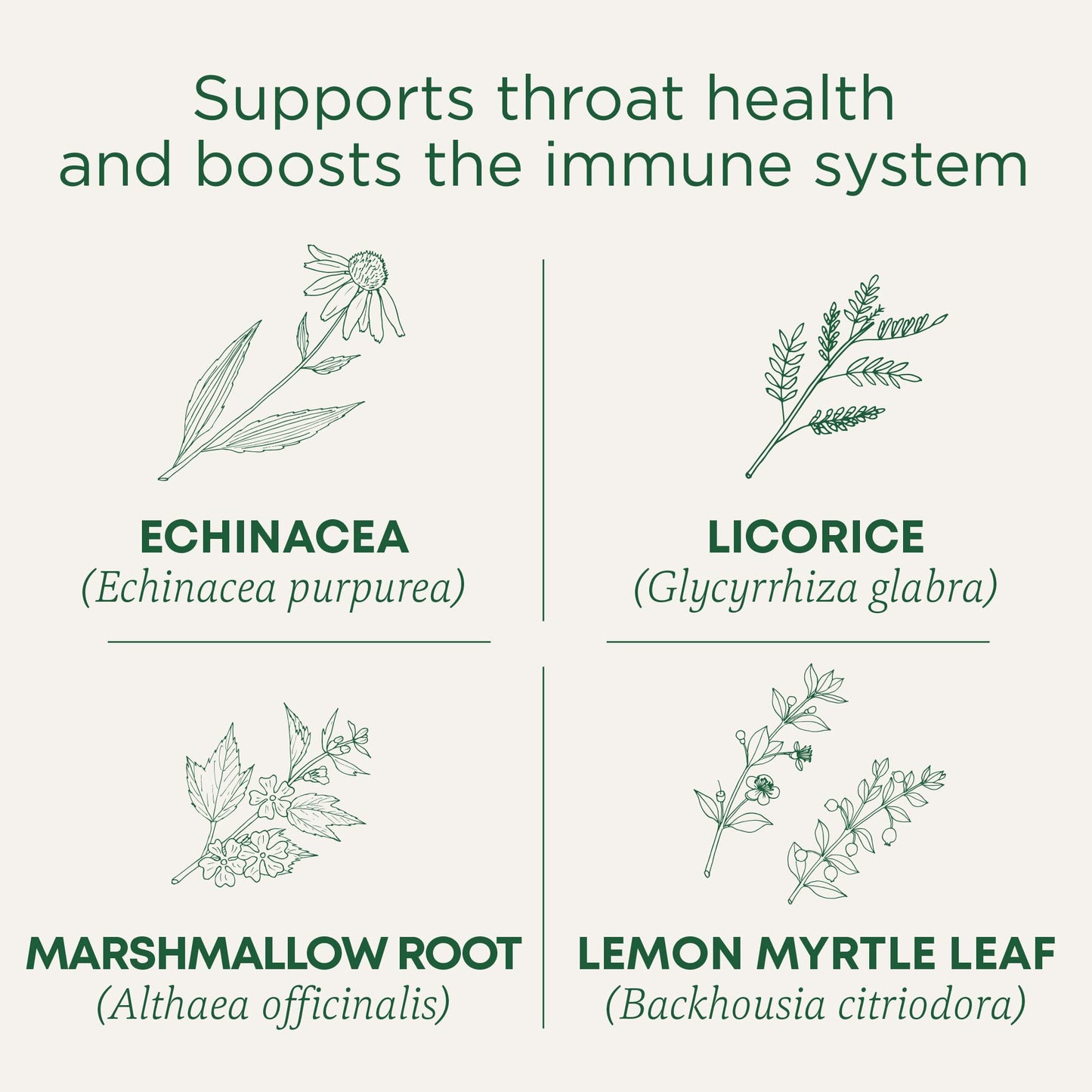 Traditional Medicinals Organic, Throat Coat Lozenges, Lemon Ginger Echinacea - Herbal Cough Drops, Helps Soothe Sore Throat - Non-GMO, Stimulant-Free