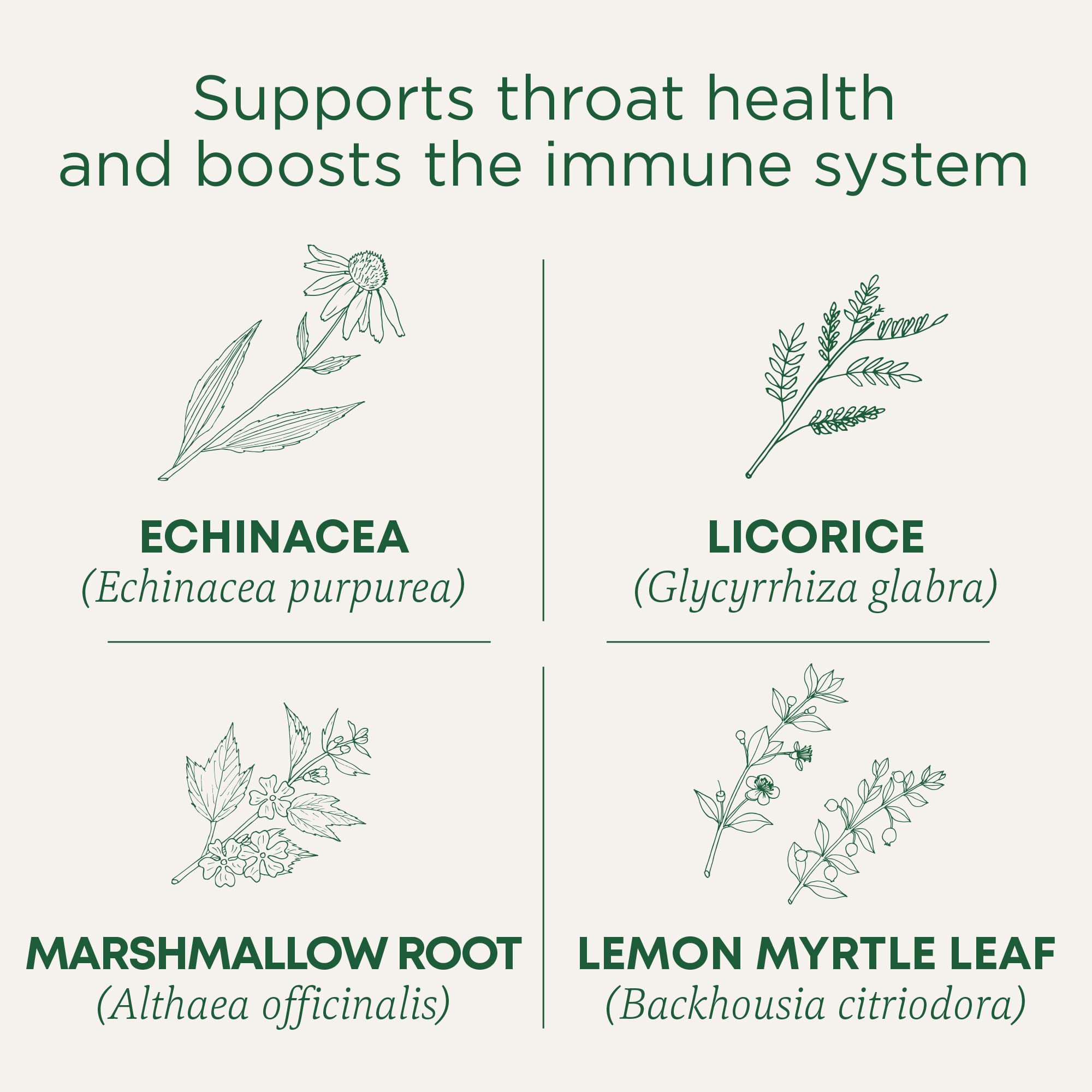 Traditional Medicinals Organic, Throat Coat Lozenges, Lemon Ginger Echinacea - Herbal Cough Drops, Helps Soothe Sore Throat - Non-GMO, Stimulant-Free