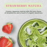 The Harmony Matcha Strawberry (10 Sticks) Premium Japanese Matcha Powder, Rich in Antioxidants & L-Theanine, Sweetened with Organic Sugar, No