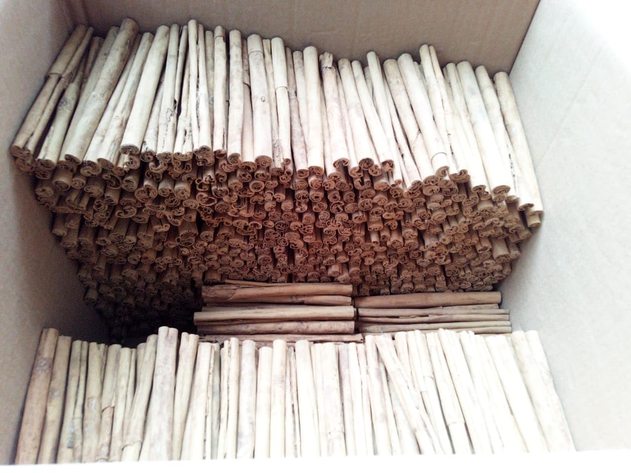 10 lb of organic Ceylon Cinnamon sticks, 7 inches long, chemical-free, and 100% natural. These are premium quality True Cinnamon (Cinnamomum Verum)