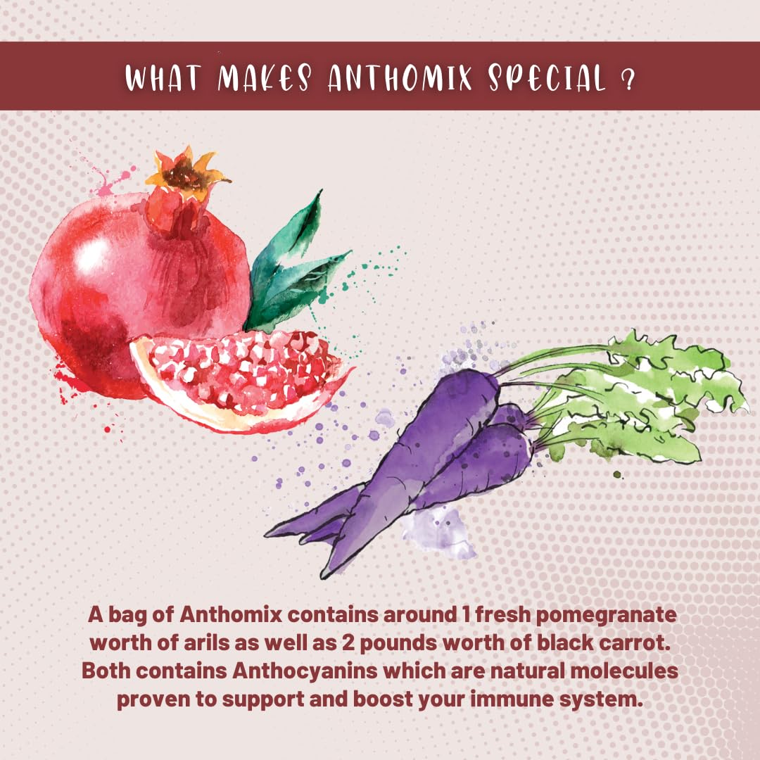 Cinagro Anthomix Pomegranate and Black Carrot Prebiotic Added Functional Granola