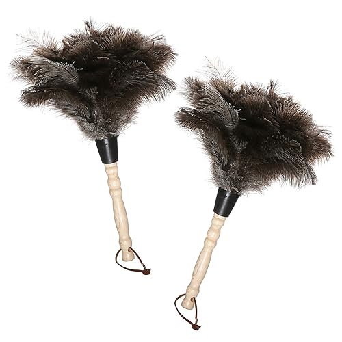 Midoneat Natural Gray Ostrich Feather Duster,2 Packs,Car Duster Interior/Exterior Cleaner, Cleaning for Blinds Kitchen Keyboard Office, Smart and Soft