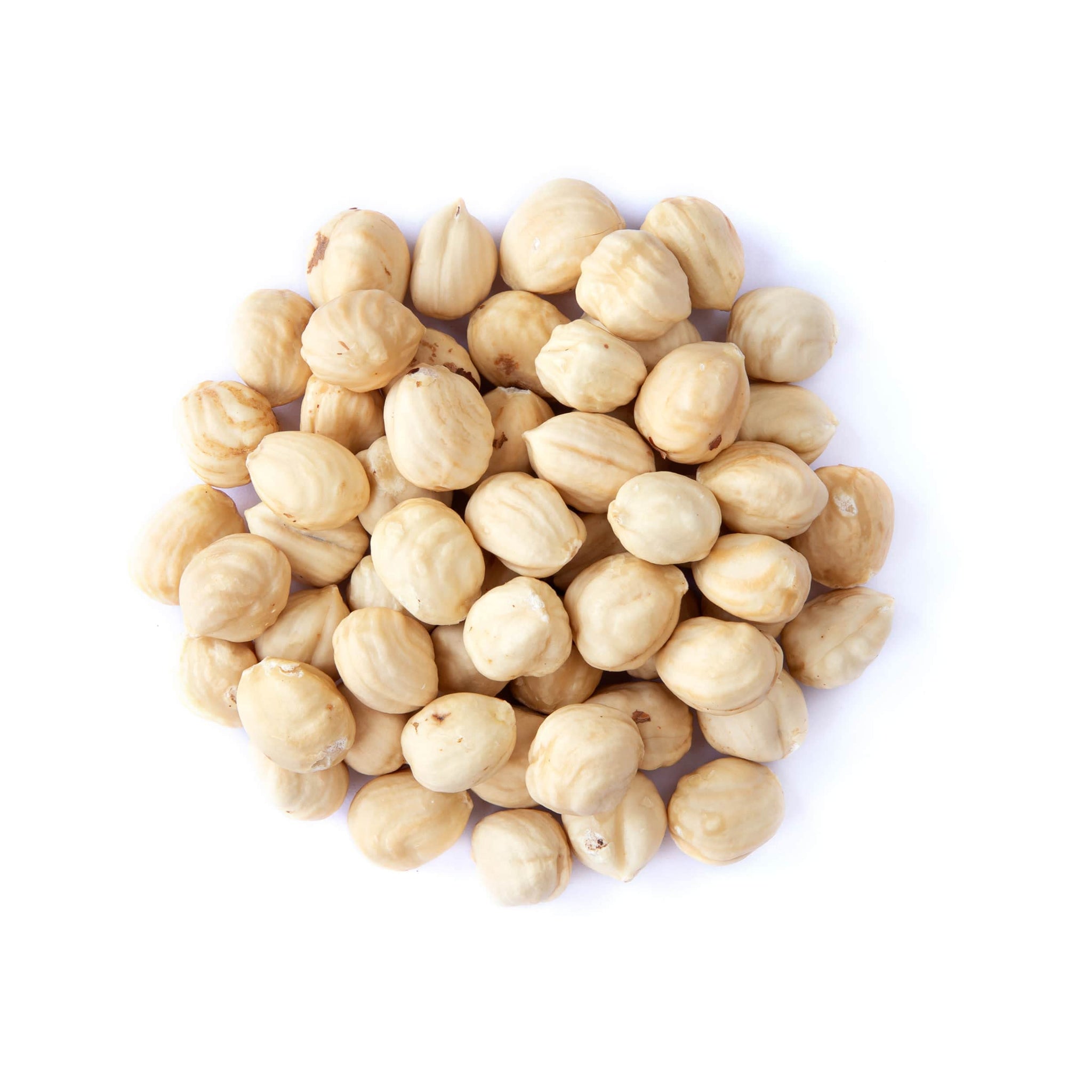 Organic Raw Blanched Hazelnuts, 1 Pound - Non-GMO Filberts, No Skin, Unsalted, Unroasted, Vegan, Bulk Nuts. Good Source of Protein. Great for Desserts