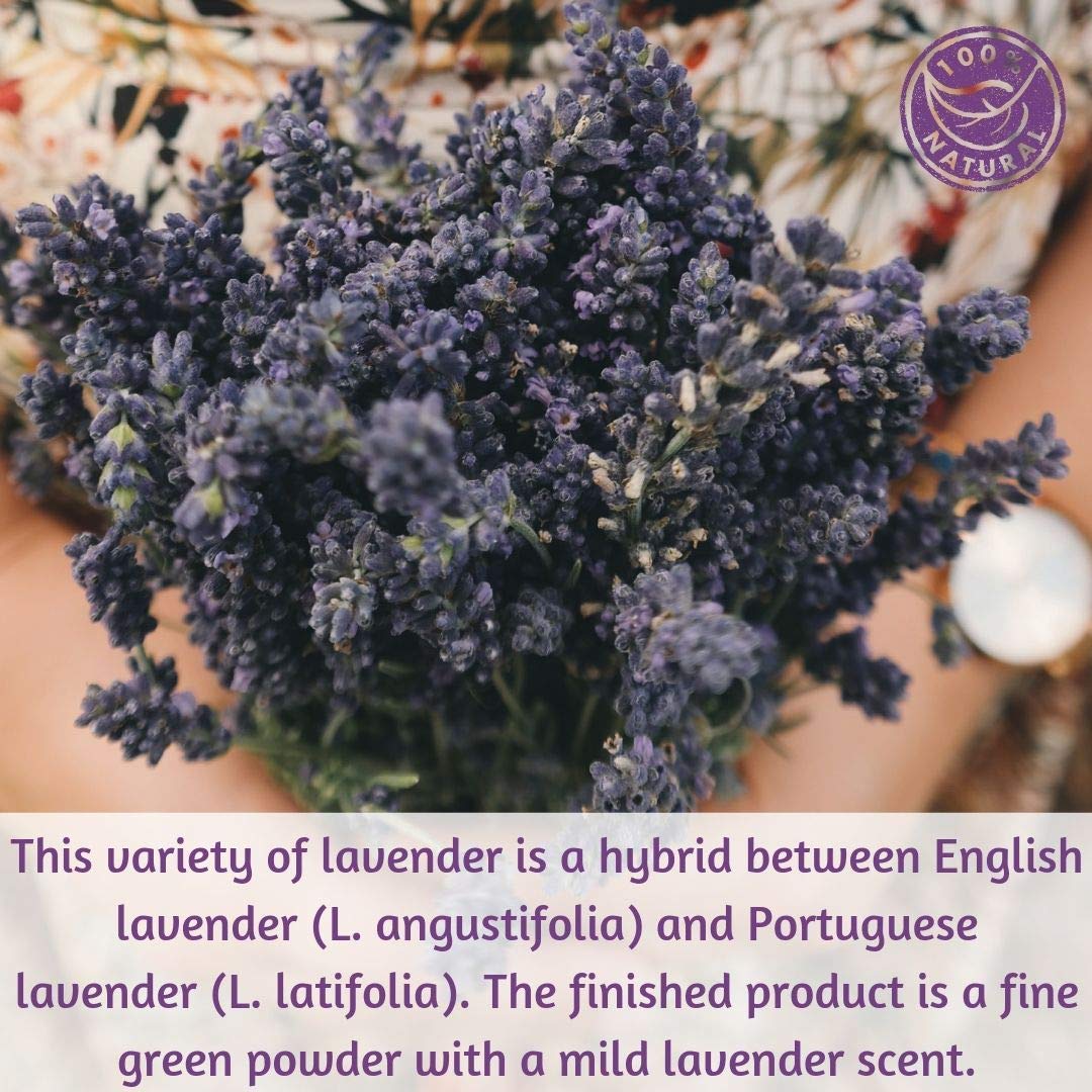 Lavender Flower Powder, by Herb Co, Lavandula x Intermedia, from USA, Kosher, for Baking, Tea, Soaps, Salves, Body Powders & Facial Masks, 1/4 lb