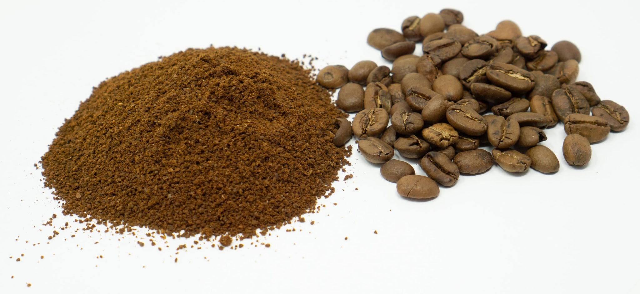 Fishoholic COFFEE CO. - "Morning Bite" Medium Roast Ground Coffee - Small Batch Arabica Beans - Roasted in the PNW