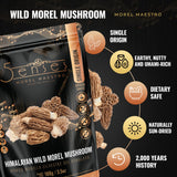 5Senses Himalayan Wild Morel Mushroom (Gucchi) | Hongo Morilla SILVESTRE DEL HIMALAYA | Morel Maestro | Premium Grade A Gucchi | Handpicked Dried