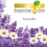 Air Wick Scented Oil Air Freshener, Lavender and Chamomile, Twin Refills, 0.67 Ounce