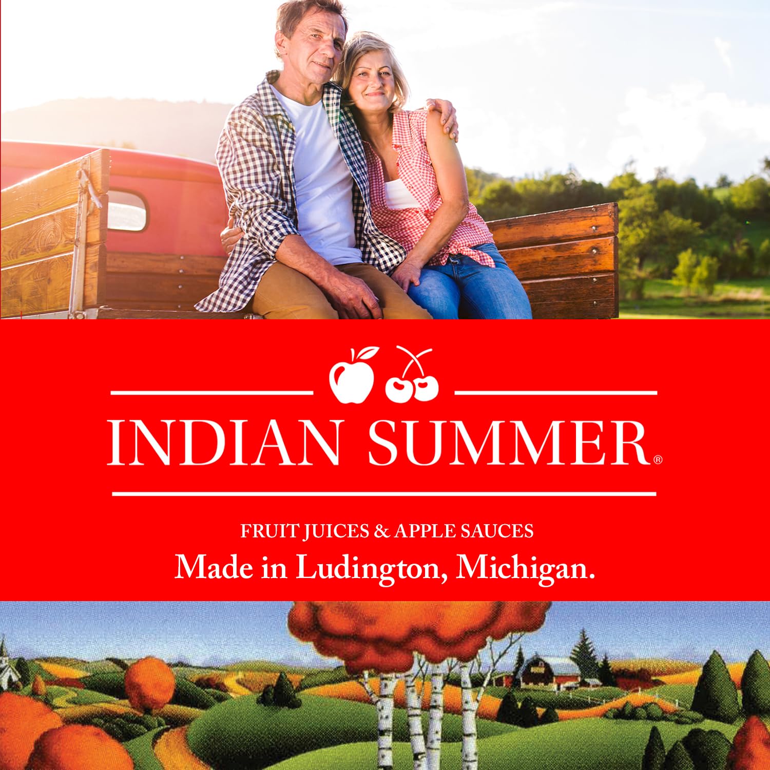 Indian Summer Premium Chunky Applesauce Made from US Apples and American Growers (Chunky Original, 23 Ounces Each, Pack of 6)