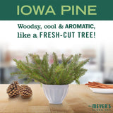 Mrs. Meyer's Clean Day Room Freshener, Iowa Pine (8 Fl Oz (Pack of 1))
