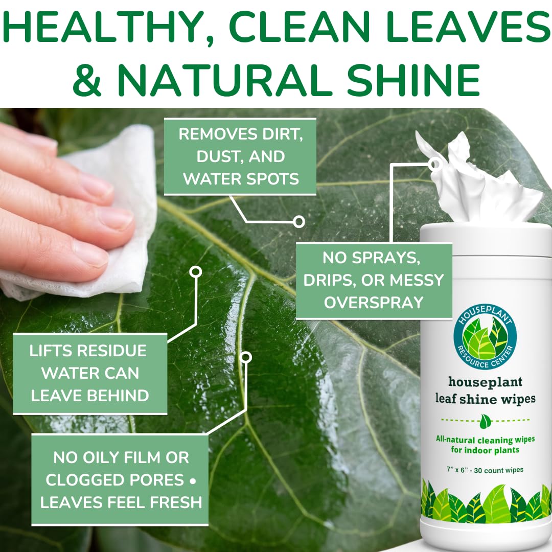Houseplant Leaf Shine & Cleaner Wipes | Removes Dust, Dirt & Water Spots for Healthier, Glossy Leaves | Easy-to-Use Natural Leaf Cleaning Wipes