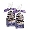 AvenueSweets - Handcrafted Dairy Free Vegan Individually Wrapped Soft Caramels - 2 x 5.2 oz Boxes - Sea Salt Chocolate