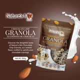 Nature's Mix - Chocolate Chip Granola (Dairy-Free) Almonds and Chocolate Chips - No Added Sugar, Soy, or Preservatives Kosher and Vegetarian - Large