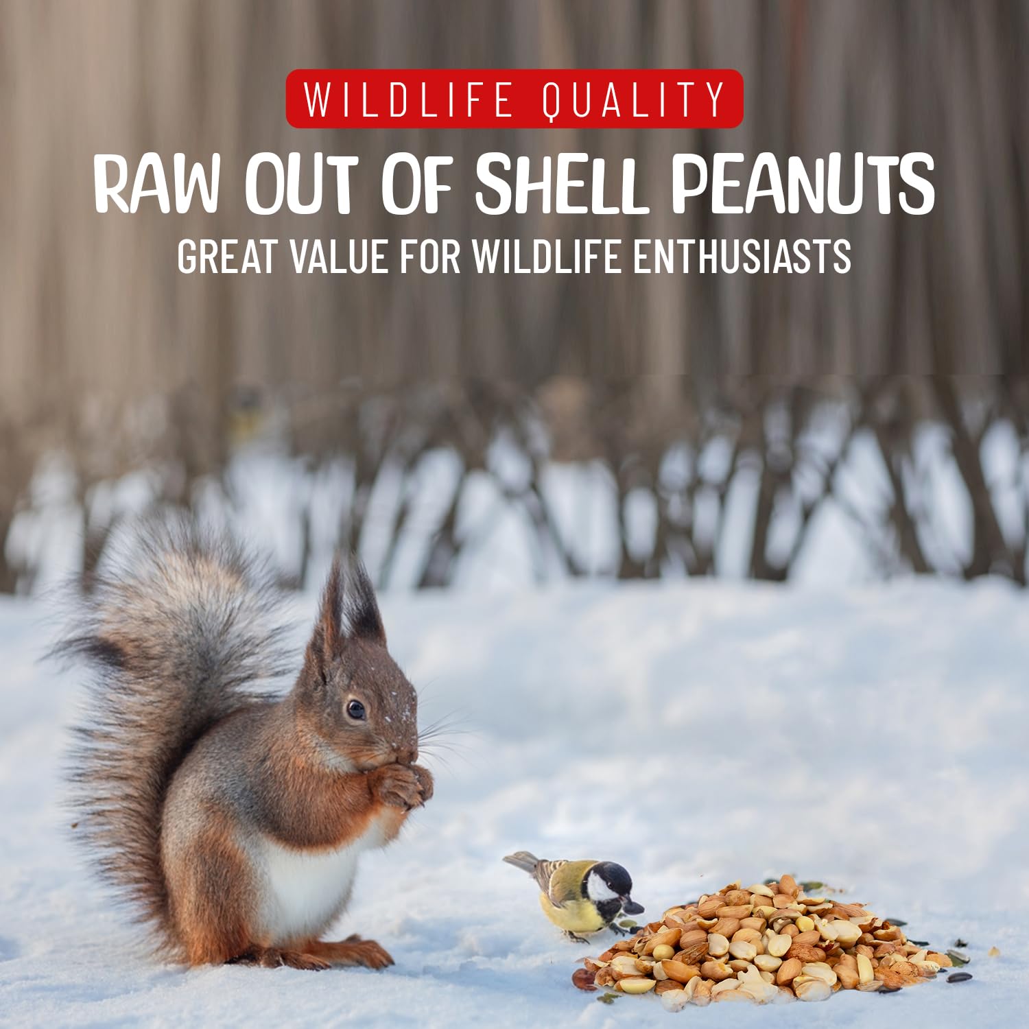 Sneaky Mango Raw Out of Shell Peanuts for Wildlife - 45 Pounds - Shelled Peanuts- Grown in The USA, for Squirrels, Deer, Birds