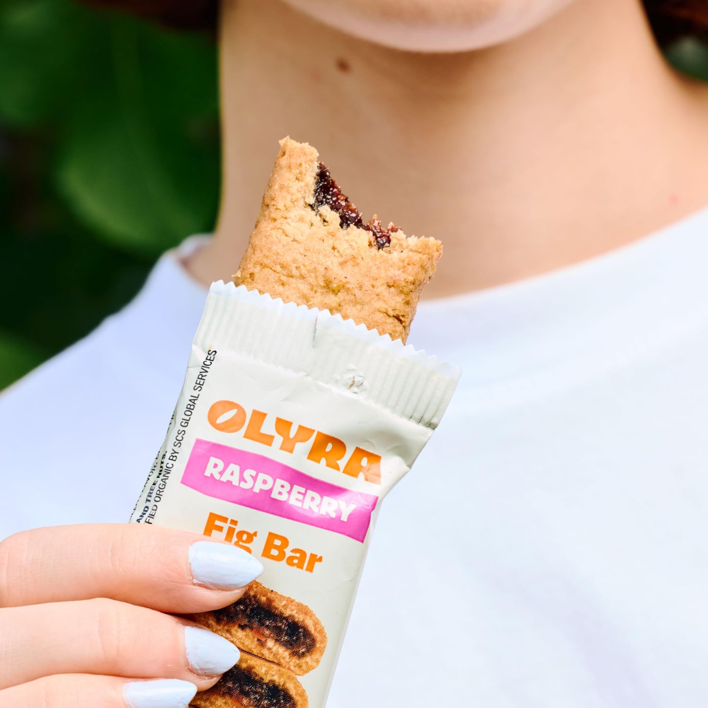 Olyra Raspberry Fig Bars, Organic Snacks, Healthy Snacks for Adults and Kids, Low Sugar, Vegan, Office Breakfast Bars, USDA Certified Organic, Non GMO