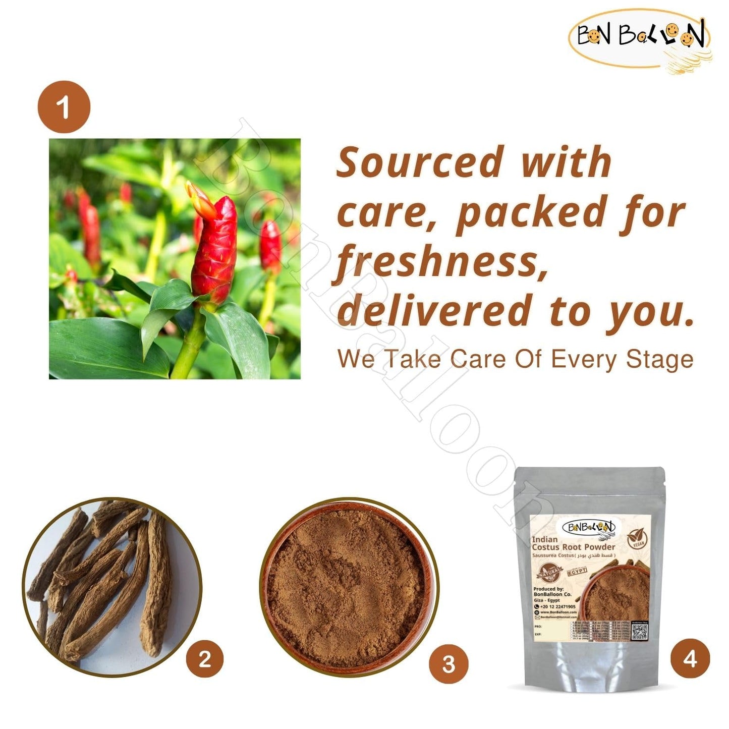 Natural Indian Costus Root Powder Premium Ground Saussurea Lappa Pure Herb Dry Dried Herbal Tea Herbs No Additives Egyptian Arab Kosher Halal (17.64