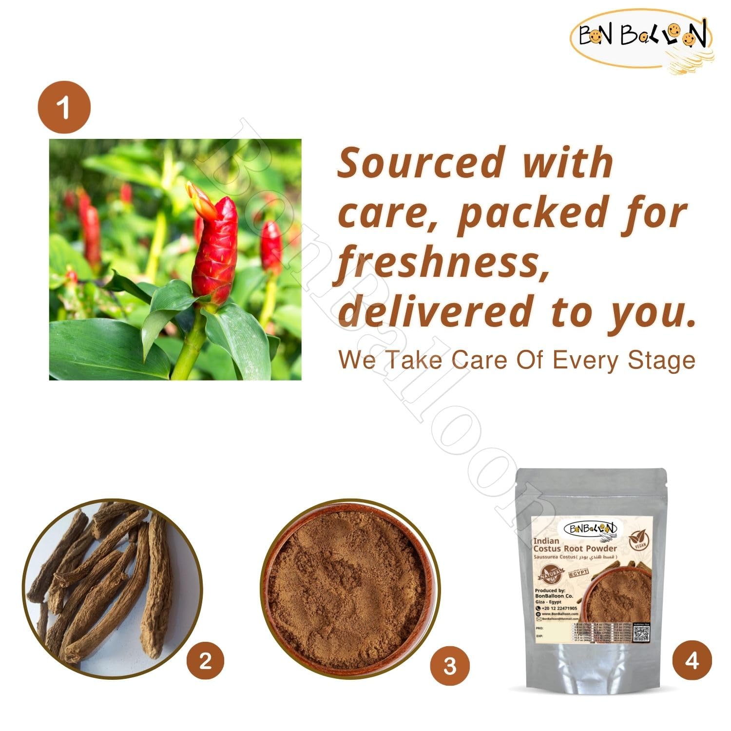 Natural Indian Costus Root Powder Premium Ground Saussurea Lappa Pure Herb Dry Dried Herbal Tea Herbs No Additives Egyptian Arab Kosher Halal (17.64