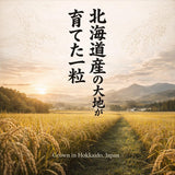 Hokkaido Nanatsuboshi Japanese Short-Grain Rice (????) - Premium All-Purpose Rice with Balanced Sweetness & Firm Texture - Ideal for Sushi, Onigiri & Everyday Japanese Meals - 11 lb