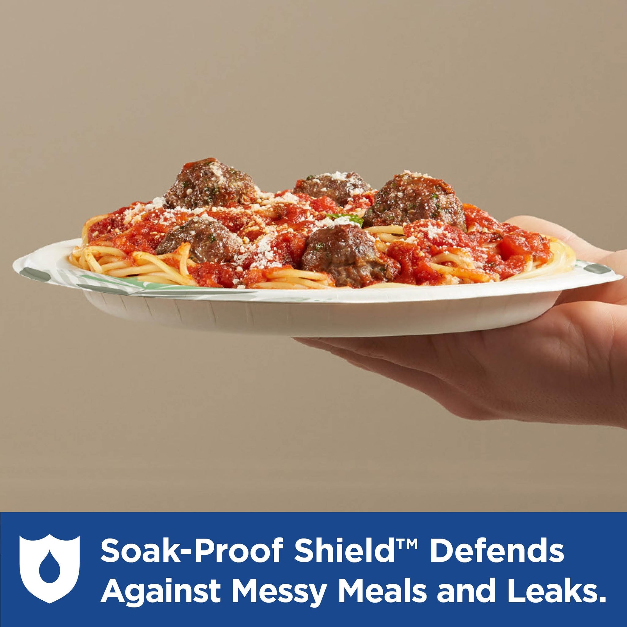 Dixie 8.5 Inch Medium-Weight Paper Plates By GP PRO, Pathways Botanical Design, 1000 Count (125 Disposable Plates Per Pack, 8 Packs Per Case), UX9PATH