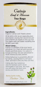 Celebration Herbals Organic Catnip Leaf and Blossom Tea Caffeine Free -- 24 Herbal Tea Bags