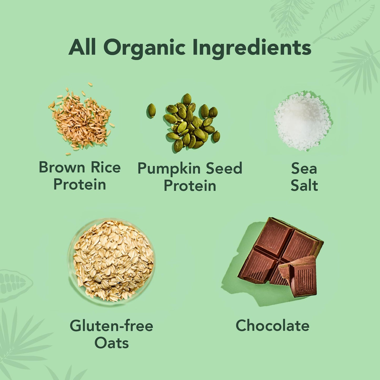 ALOHA Organic Plant Based Protein Bars - Oatmeal Chocolate Chip - 12 Count, 1.9oz Bars - Vegan Snacks, Low Sugar, Gluten-Free, Low Carb, Paleo