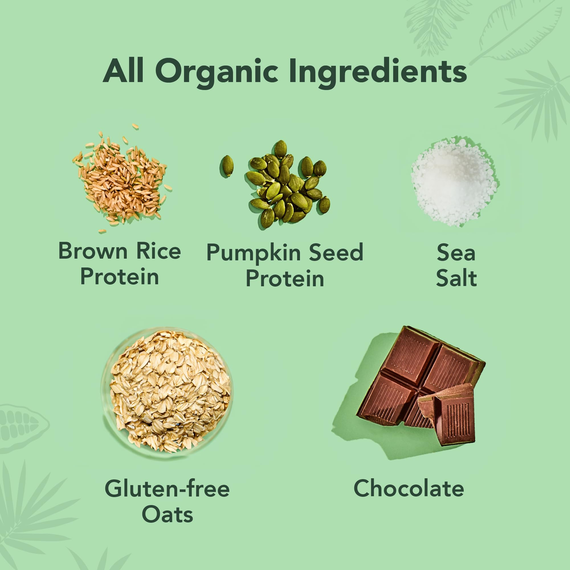 ALOHA Organic Plant Based Protein Bars - Oatmeal Chocolate Chip - 12 Count, 1.9oz Bars - Vegan Snacks, Low Sugar, Gluten-Free, Low Carb, Paleo