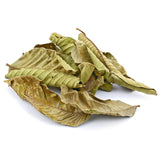 Dried Guava Leaves, Hojas de Guayaba, Loose Guava Leaf Tea 2 oz and 4 oz (4 OZ)
