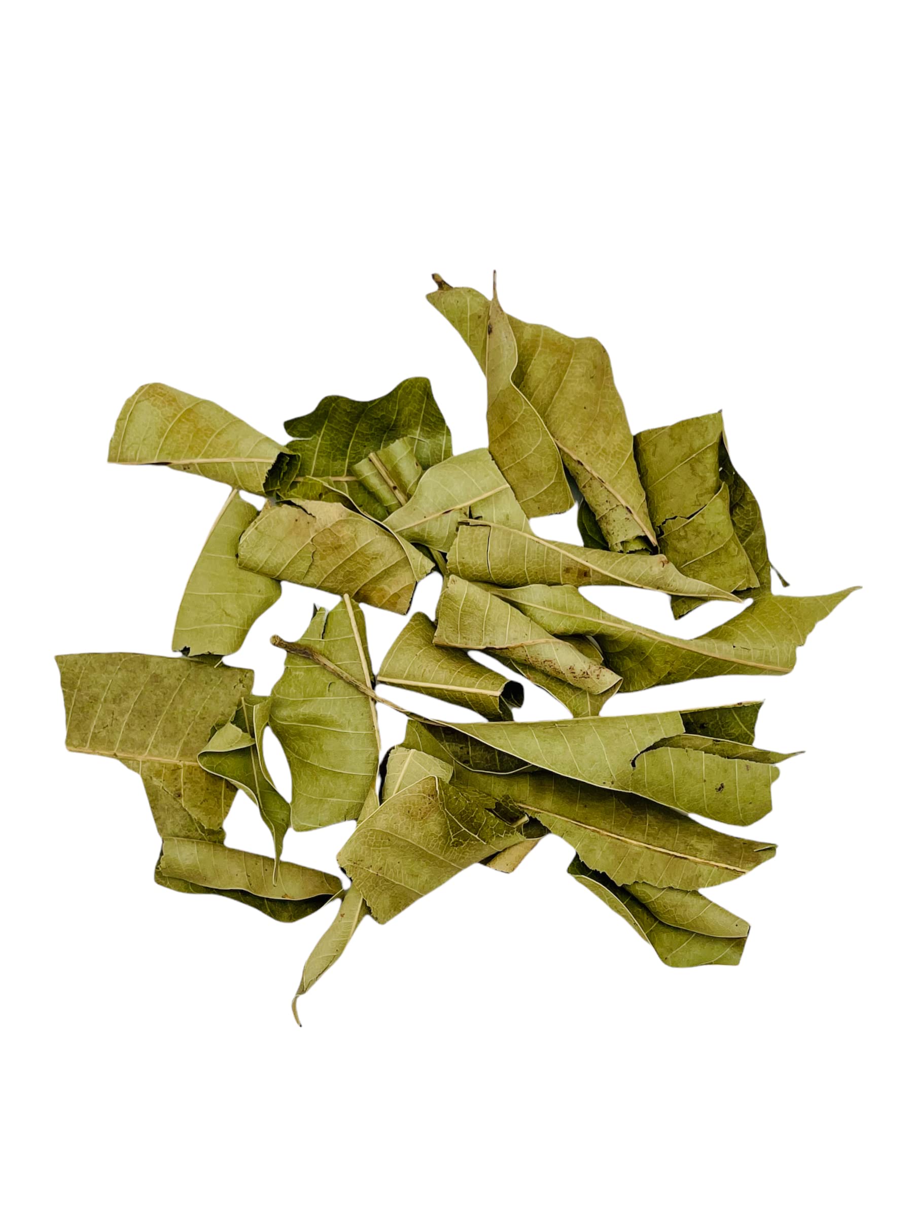 Mango Leaves 40 grams, Hojas de Mango, Resealable Bag, Mango Leaves Tea, Mango Plant Loose Leaf for Natural Herbal Tea