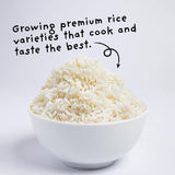 4Sisters - Premium Long Grain Aromatic Jasmine White Rice - Sustainably Grown - Women Owned - Farm to Table (2 lb)