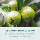 Hongyuan Guava Candy, 12.3 oz (Pack of 5) Asian Guava Fruit Hard Candy, Sweet & Tangy Tropical Flavor, Individually Wrapped